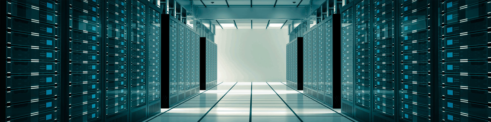 Web Hosting Services